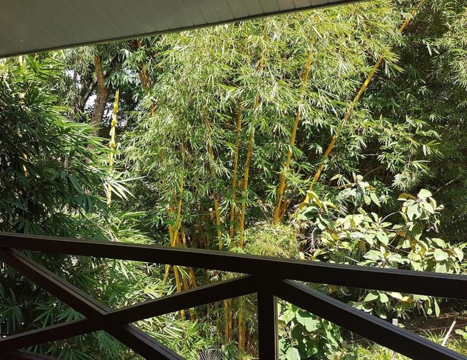 Magic Mountain Lodge Las Lajas  Bagian luar foto