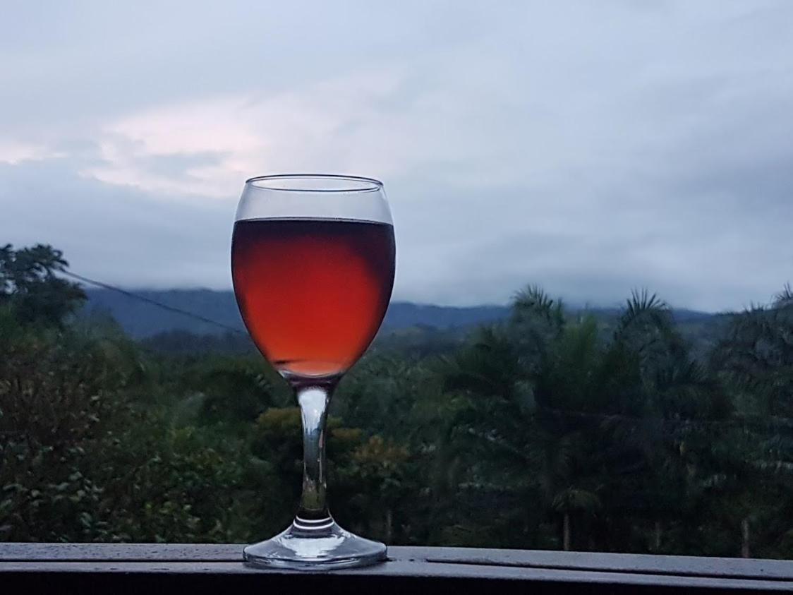 Magic Mountain Lodge Las Lajas  Bagian luar foto
